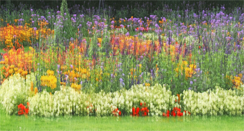 A Colourful Garden - Shylaja Muringoor