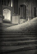 A Sea of Steps - Alan Simpson
