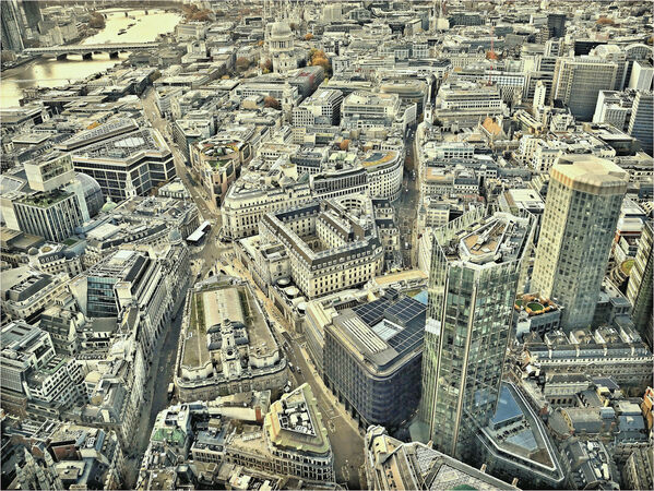 A View of the City - Shylaja Muringoor