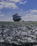 Abandoned - Anila Hussain