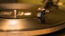 Appetite for Destruction - Anuraj T