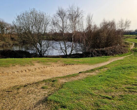 Around Alex Lake - Bente Dahl