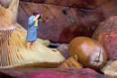 Autumn Shoot - Sue Rosner