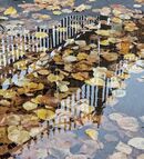 Autumn puddle - Bente Dahl