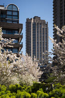 Barbican in Bloom - Ajay Prasannan