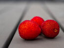 Berry - Noreen Connolly