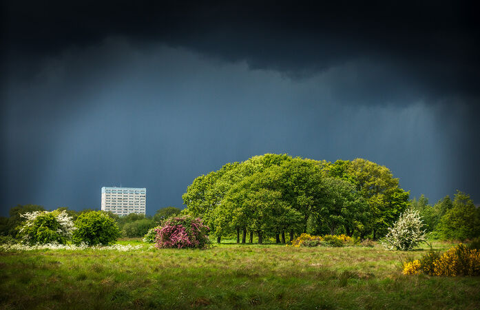 Big Rain Coming - Bob Gibbons