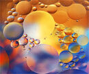 Bubbles Macro - Shylaja Muringoor