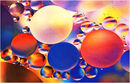 Bubbles Macro - Shylaja Muringoor