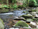 Cadover Bridge - Steve Freeder