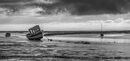 Calm Before The Storm - Jim Williams