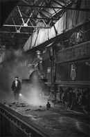Cat 1 - Didcot Locomotive Shed - Alan Simpson