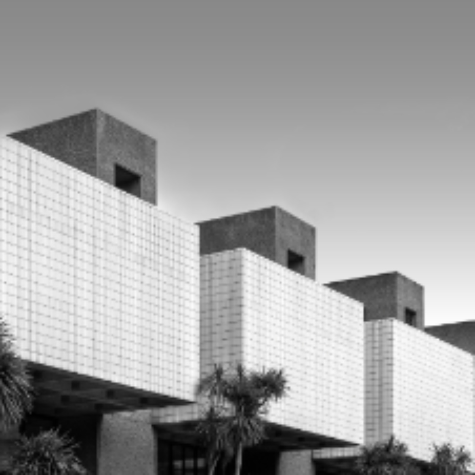 2023/09/11 Cat 1 - Man-Made World