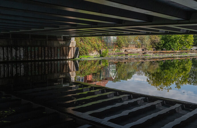 Cat 1 River Reflections - Sue Dyson