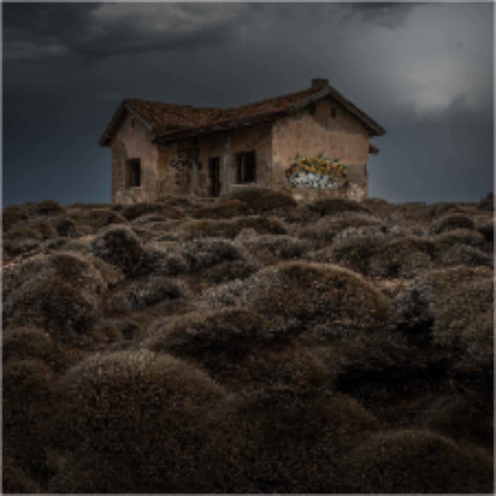 2023/09/11 Cat 2 - Landscape