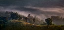2026/09/14 Cat 2 - Landscape