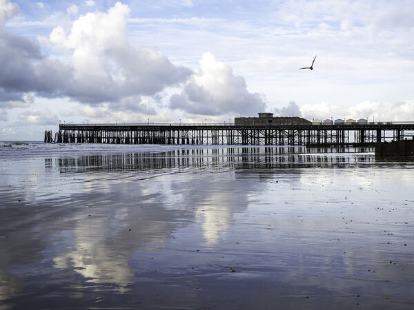 Cat 2 Low Tide at Hastings - Jim Williams