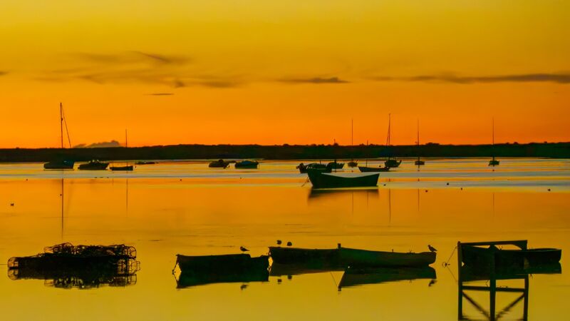 Cat 2 Norfolk Sunset - Luciano Ocesca