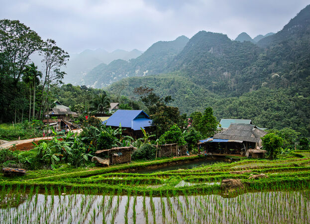 Cat 2 Rural Vietnam - Hank Bishop