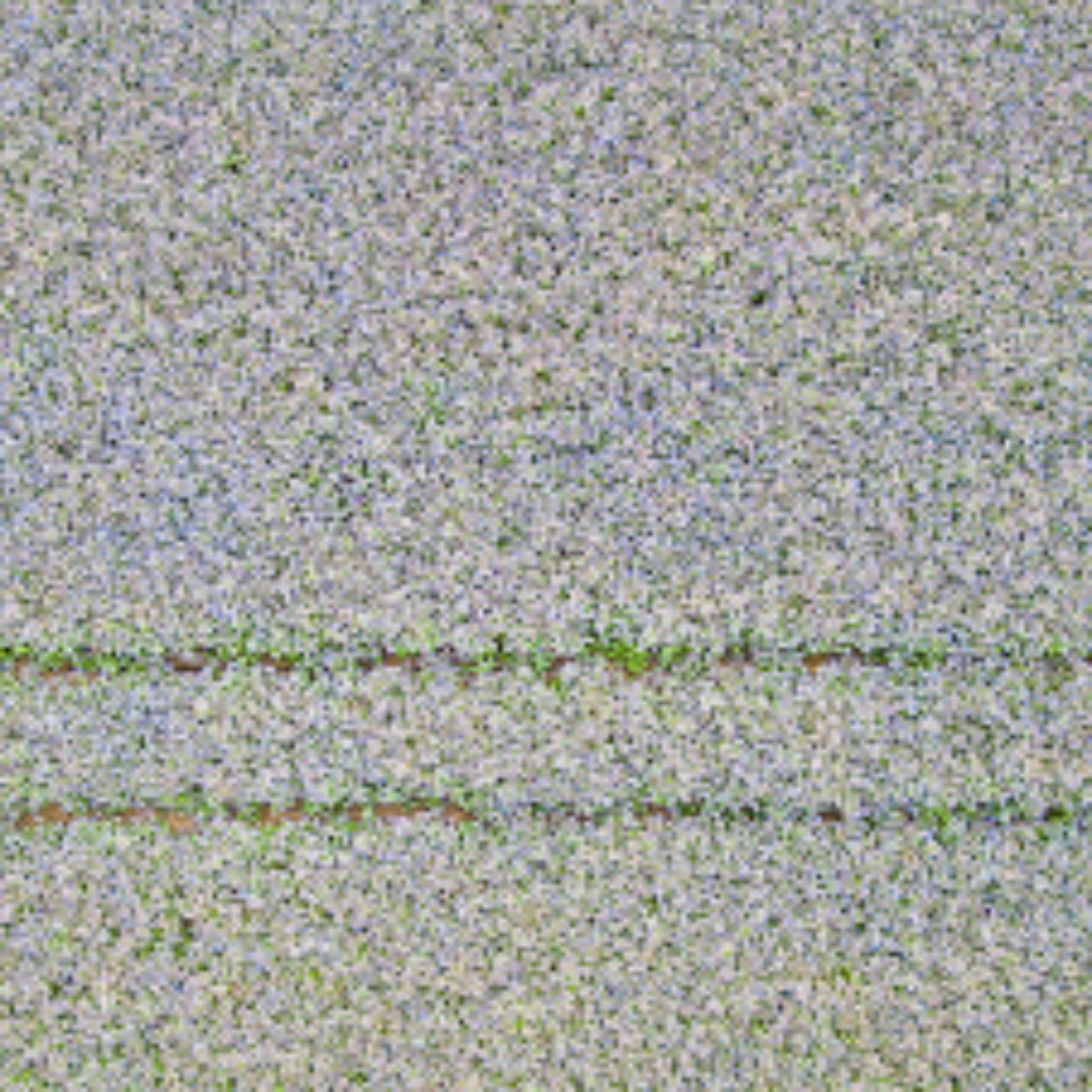 2023/09/11 Cat 5 - Creative