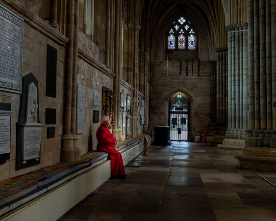 Contemplation - Luciano Ocesca