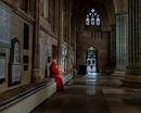 Contemplation - Luciano Ocesca