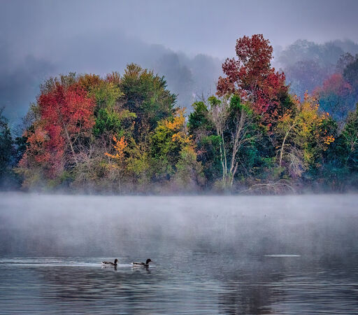 Cove Park - Hank Bishop