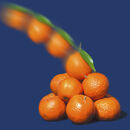 Creative Clementines - Jim Williams