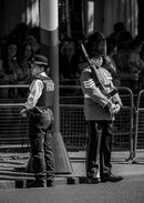 Crowd Control - Steuart Allen