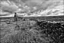 Derelict Cottage - Ray Benn