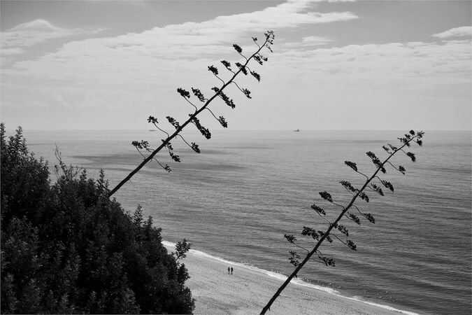 Digital Harmony - Ray Benn