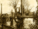Dobbs Weir - Jim Williams