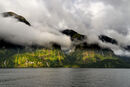 Doubtful Sound, NZ - Sue Rosner