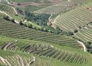 Douro Region Vineyards - Steve Freeder