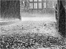 Down Came The Rain - Jim Williams