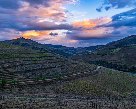 Duoro Valley - Hank Bishop