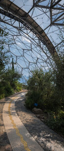 Eden Project - Ajay Prasannan
