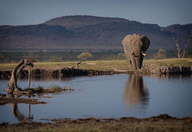 Elephant at the waterhol - Arnie Gobel