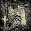 Eternity - Alan Simpson