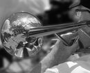 Fanfare To St Paul's - Sue Matthews