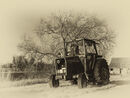 Farm at Aldborough Hatch - Jim Williams