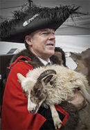 Feeling Sheepish - Alan Simpson
