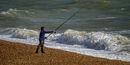 Fisherman - Steuart Allen