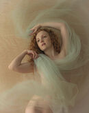 Flow - Anila Hussain