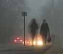 Foggy Morning Walk - Sue Matthews