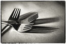 Fork Shadows - Alan Simpson