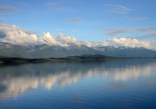 Glacier Bay - Roy Parsons