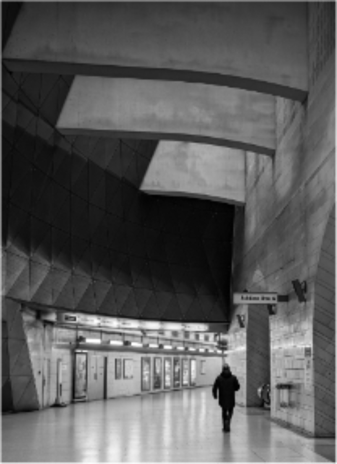 2024/03/25 The George Mayne PDI Open Competition