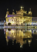 Golden Temple, Amritsar - Sue Rosner