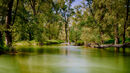 Green River - Luciano Ocesca